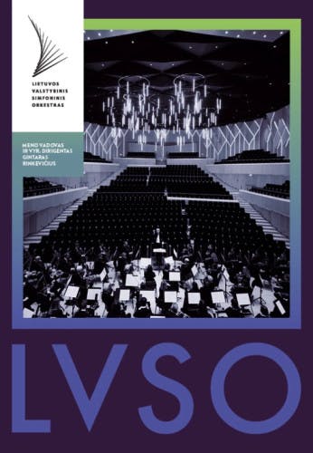15-asis LVSO vasaros festivalis poster